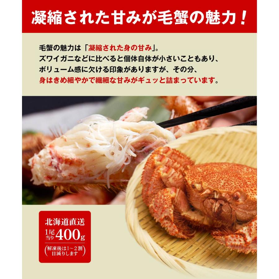 毛蟹の標本 毛蟹 毛ガニ 毛がに 400g 2尾セット オホーツク産 札幌場外市場