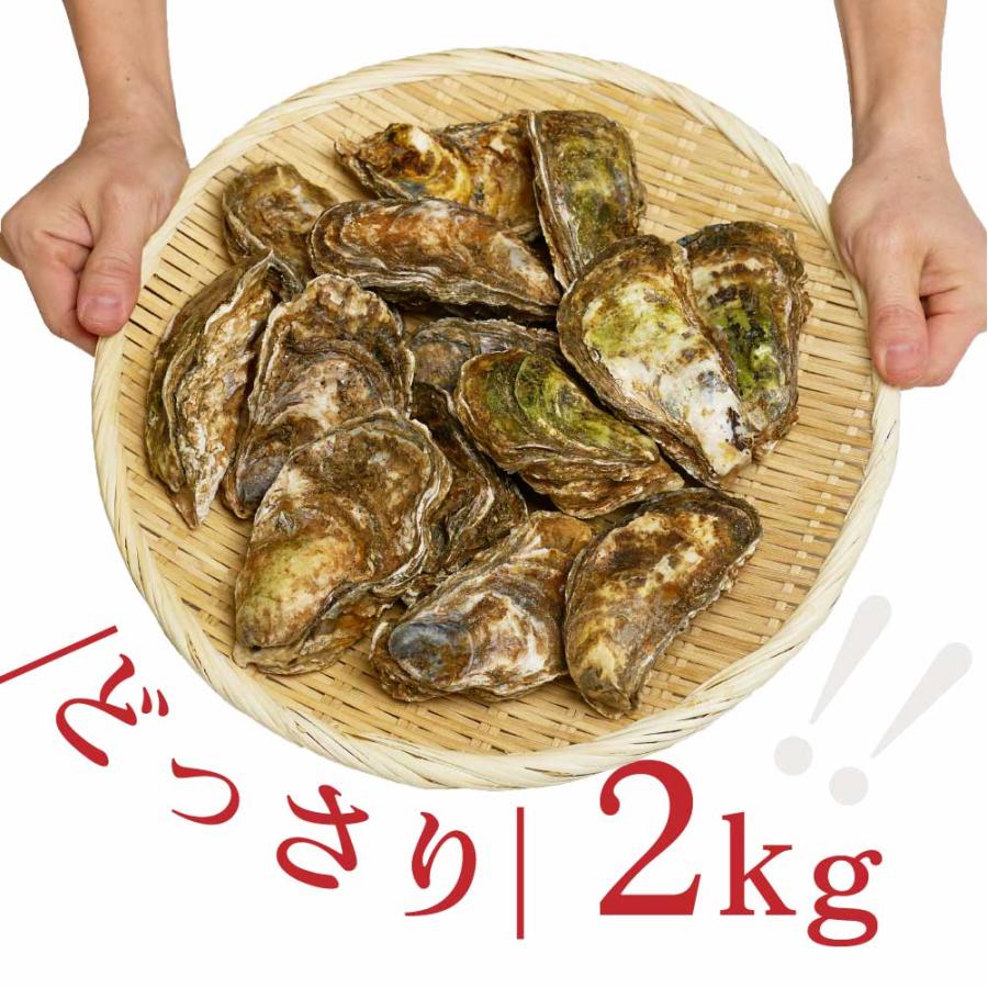 北海道厚岸産 生牡蠣 約2kg 北海道産 カキ かき 刺身 貝 札幌中央卸売市場 ギフト プレゼント 母の日 プレゼント｜hokkaido-okada｜07