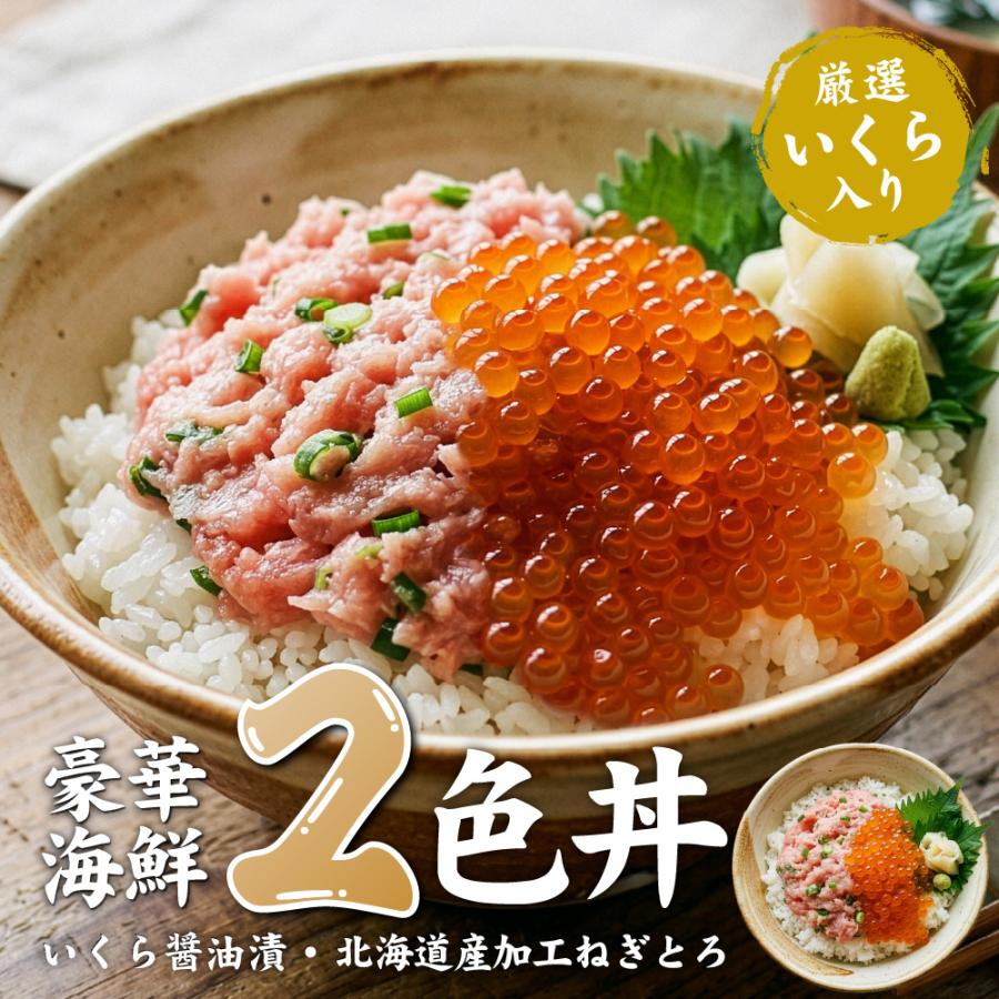 いくらどん Ikura Don (いくら丼) - YouTube