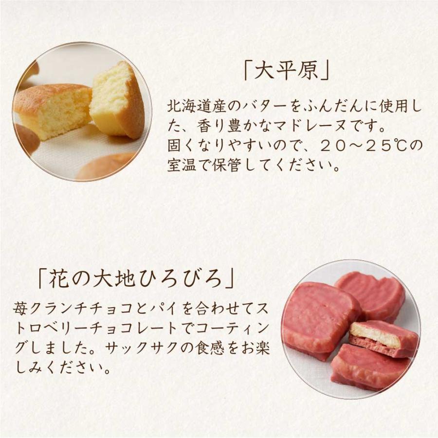 六花亭 詰め合わせ 六花撰 10個入 マルセイ バターサンド 大平原