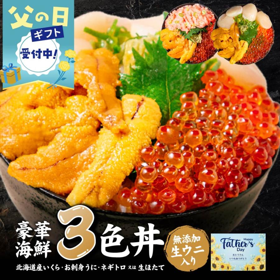 海鮮丼セット 北海道 豪華海鮮三色丼 3色丼 海鮮 ギフト 刺身 海鮮丼セット 北海道 豪華海鮮三色丼 3色丼 海鮮 ギフト 刺身