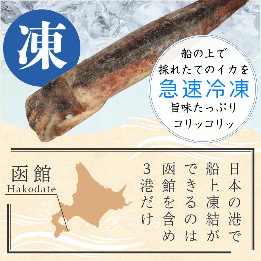 イカ いか 刺身 刺し身 冷凍 函館産 船凍イカ 5杯 冷凍イカ 送料無料 スルメイカ 塩辛 生 刺身用 イカ刺し 海鮮丼 Bbq お歳暮 御歳暮 クリスマス Sentouika 5hai 北海道お土産ギフト岡田商店 通販 Yahoo ショッピング