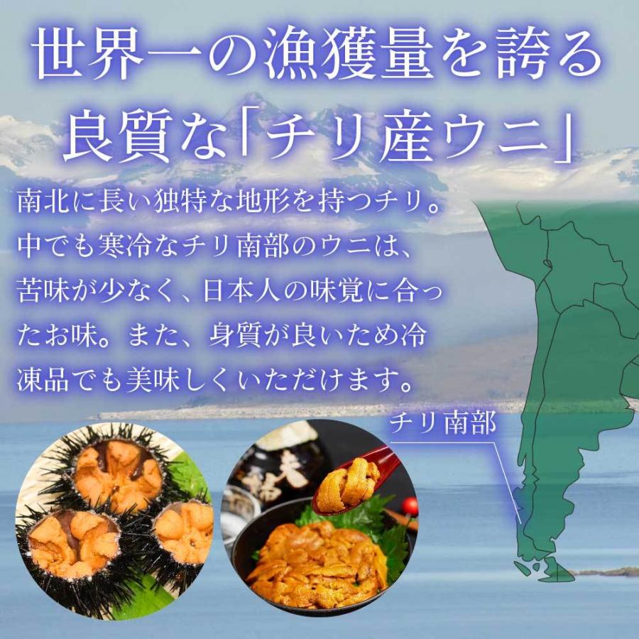 激安通販新作 生うに 100g 3パックセット チリ産 無添加 みょうばん不使用 お刺身用 Aグレード ウニ 雲丹 冷凍 送料無料 お取り寄せ 遅れてごめんね 父の日 お中元 御中元 Materialworldblog Com