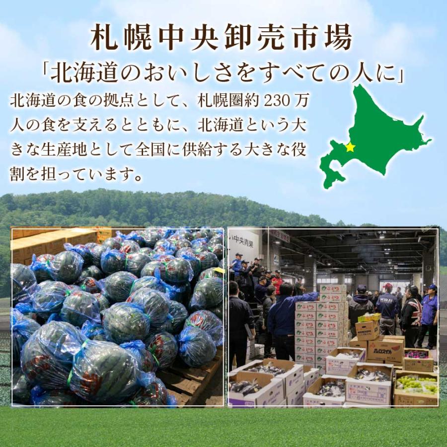 とうもろこし トウモロコシ 北海道 ゴールドラッシュ 5本セット 送料無料 L〜2L 北海道産 とうきび スイートコーン 父の日 プレゼント｜hokkaido-okada｜02