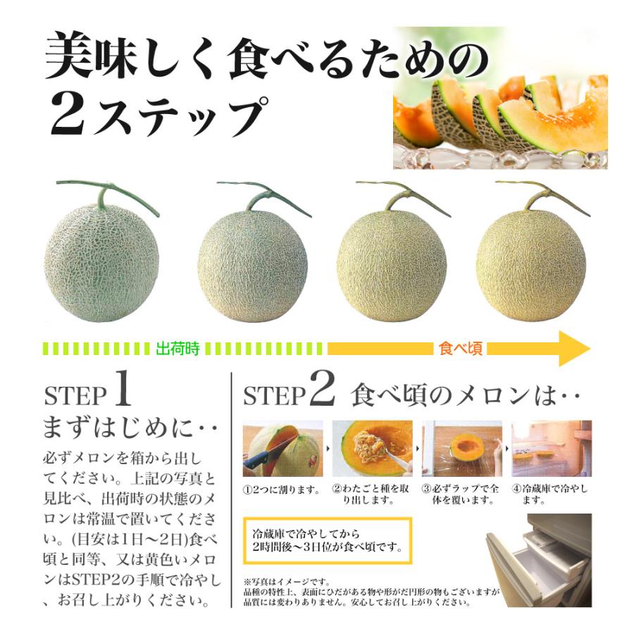 御中元 お中元 送料無料 北海道 夕張メロン 1玉 1 6kg 優品 同梱不可 北海道産 訳あり めろん フルーツ 北海道 夕張 メロン 1玉 赤肉 メロン 御中元 ギフト Y Meron1 北海道お土産ギフト岡田商店 通販 Yahoo ショッピング