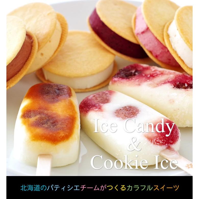 CANDICE クッキーアイス6種とアイスキャンディー3本セット ギフト プチ