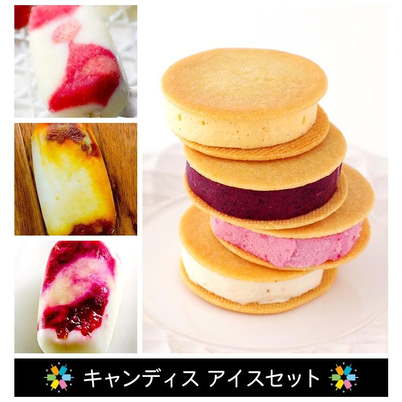 CANDICE クッキーアイス6種とアイスキャンディー3本セット ギフト プチ