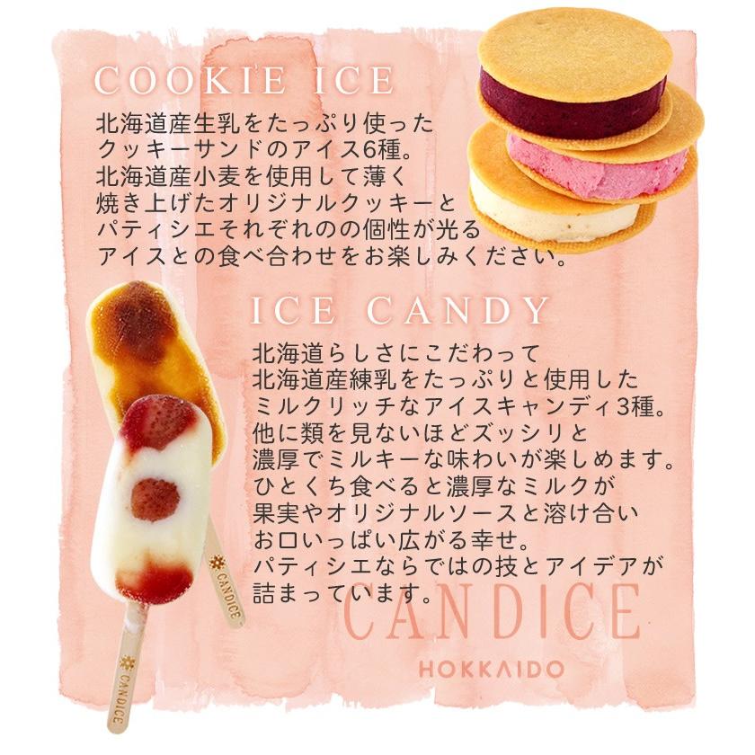 CANDICE クッキーアイス6種とアイスキャンディー3本セット ギフト プチ