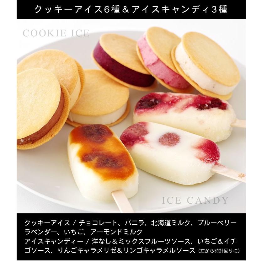 CANDICE クッキーアイス6種とアイスキャンディー3本セット ギフト プチ