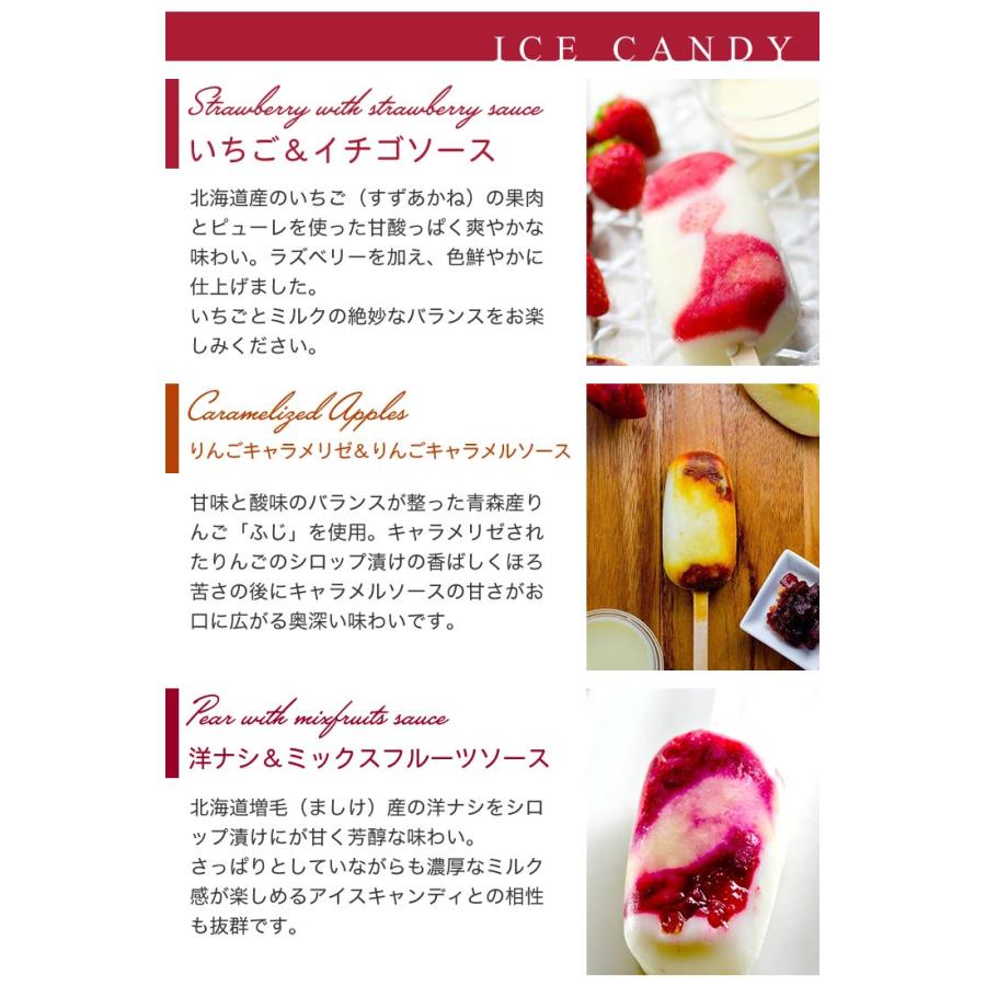 CANDICE クッキーアイス6種とアイスキャンディー3本セット ギフト プチ