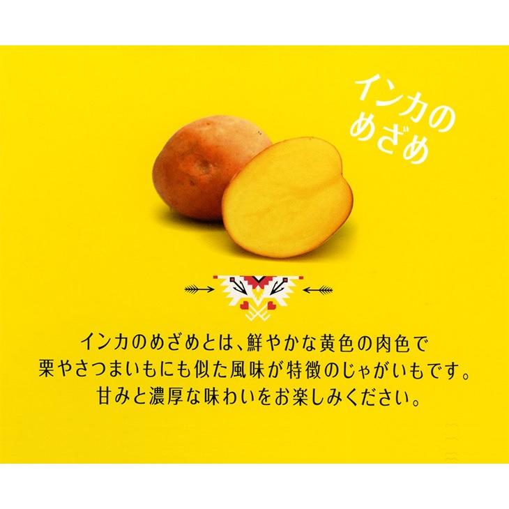 カルビー ポテト Calbee POTATO 黄金ポテト インカのめざめ　17g×8袋入　　父の日 2024 ギフト プチギフト スイーツ お菓子 スナック菓子 北海道限定｜hokkaido-omiyage｜03