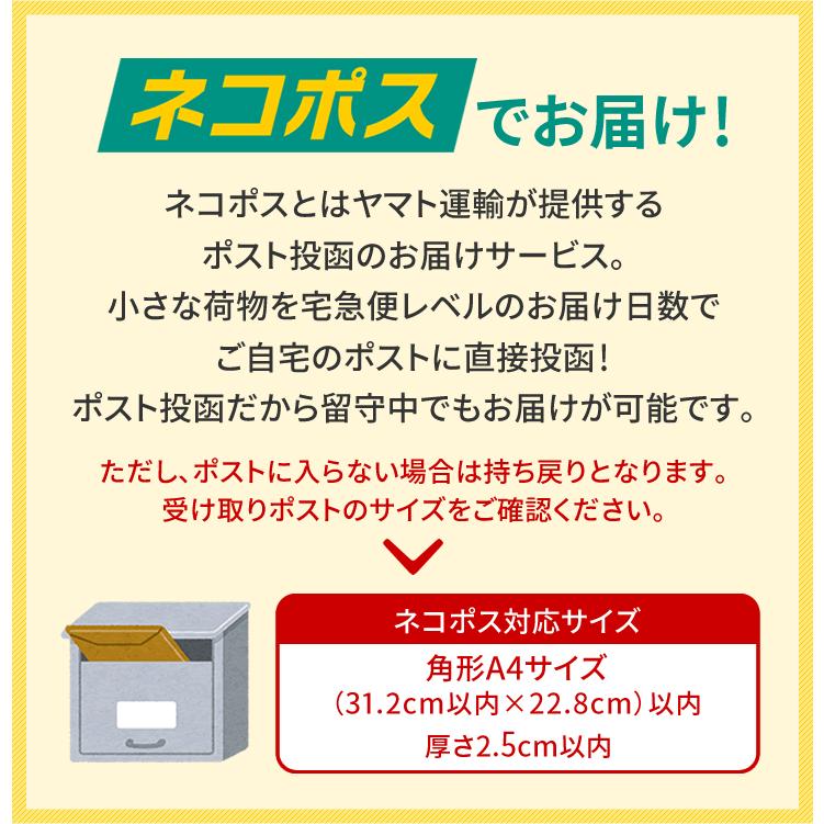 送料込み ネコポス対応 六花亭 花柄文具5点セット 父の日 2026 ギフト