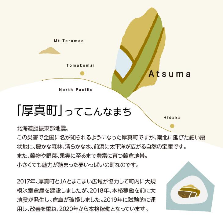 あつまいも 夢のスクープ 4個入 Omiken008 北海道お土産探検隊 通販 Yahoo ショッピング