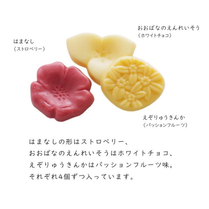 六花亭 六花の森　　　　父の日 2024 ギフト プチギフト スイーツ 洋菓子 誕生日 内祝い 退職 お祝い プレゼント 御供 感謝｜hokkaido-omiyage｜05