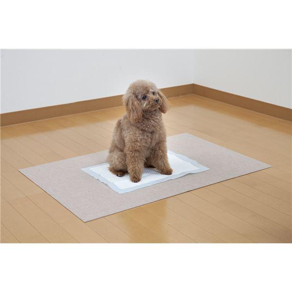 【数量限定アウトレット品】 おくだけ吸着ペット用トイレ下敷きマット ベージュ〔×40セット〕 犬 トイレマット 撥水 消臭加工 【YW1168320417】(41318円)