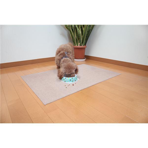 【数量限定アウトレット品】 おくだけ吸着ペット用トイレ下敷きマット ベージュ〔×40セット〕 犬 トイレマット 撥水 消臭加工 【YW1168320417】(41318円)