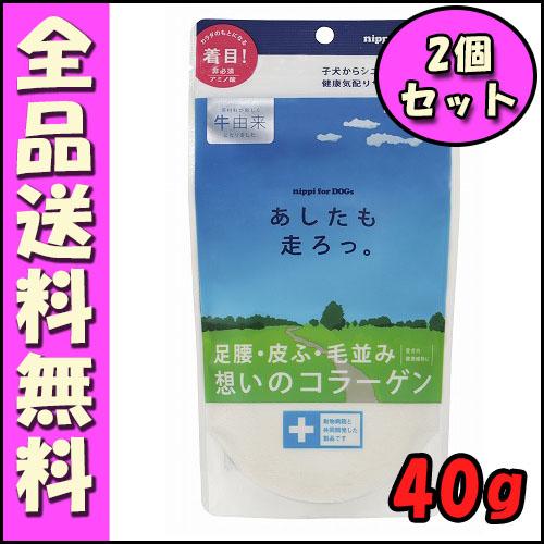 ニッピ あしたも走ろっ 40ｇx2個セット B1 コラーゲン 皮膚 足腰 毛並み 犬 a2 北海道ペットグッズストア 通販 Yahoo ショッピング