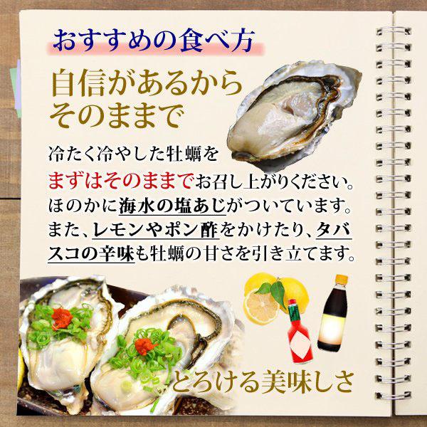 カキ 殻付き 生食用 牡蠣 LLサイズ 15個 北海道 厚岸産 マルえもん お取り寄せグルメ 産直 カキナイフ付き 検査表付き ブランド牡蠣 熨斗 お歳暮 ギフト｜hokkaido-pirika｜10