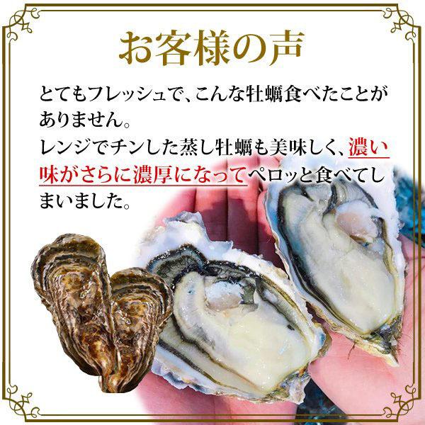 牡蠣 カキ 殻付き 生食用 牡蠣 北海道 厚岸産 マルえもん 3Lサイズ 10個 お取り寄せグルメ カキナイフ付き 検査表付き ブランド牡蠣 熨斗 お歳暮 ギフト｜hokkaido-pirika｜16