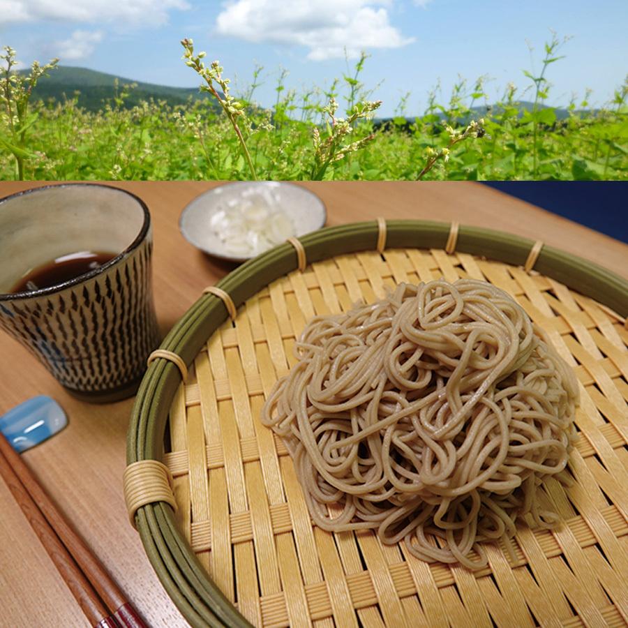 そば 蕎麦 韃靼そば 満天きらり 8束セット 北海道 雄武町 高ルチン