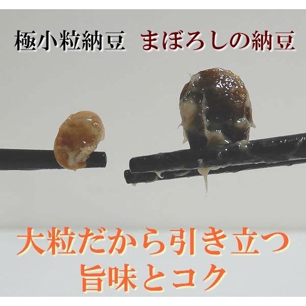 納豆 まぼろしの納豆 10パック 大粒 たっぷり90g入 北海道産 大豆100