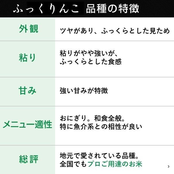 値下げ 米 令和7年 ふっくりんこ 10kg（5kgx2）北海道米 一等米 特別