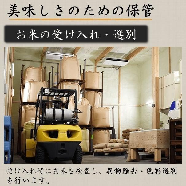 米 令和7年 新米 ふっくりんこ 10kg（5kgx2）北海道米 一等米 特別