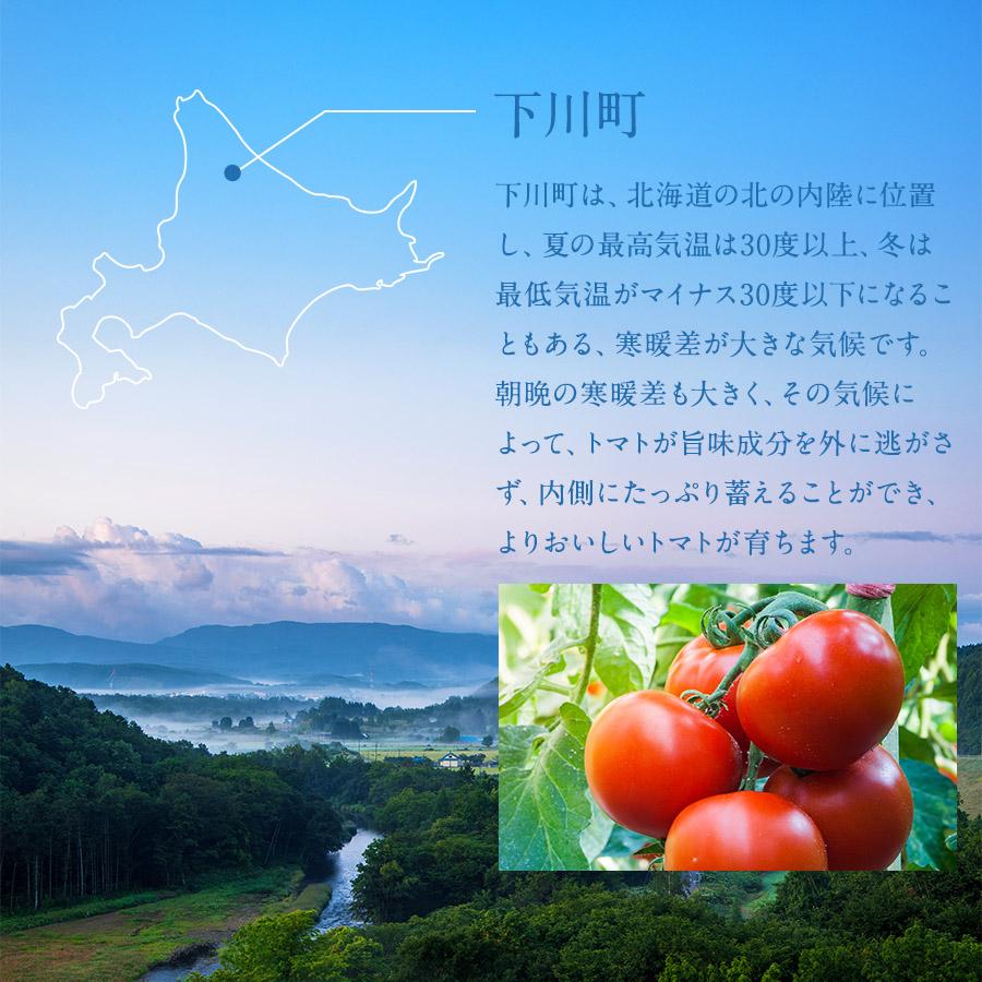 甘酒 トマトジュース ふるさと元気 甘酒ブレンドとまとジュース 甘酒 トマトジュース ふるさと元気 甘酒ブレンドとまとジュース