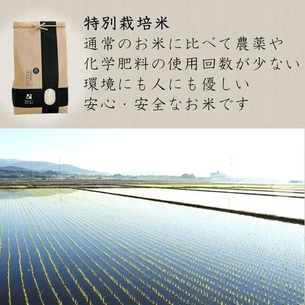 値下げ 米 令和7年 新米 北海道米 3種×2kg（計6kg）減農薬 特別栽培米 
