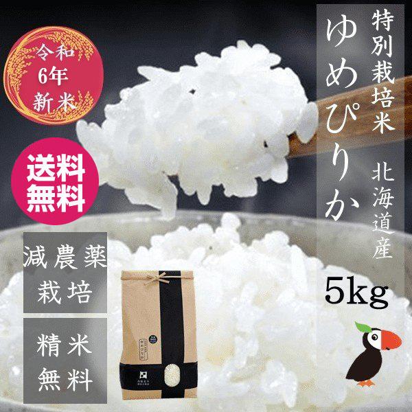 米 令和6年 新米 ななつぼし 5kg 北海道米 一等米 特別栽培米 減農薬  