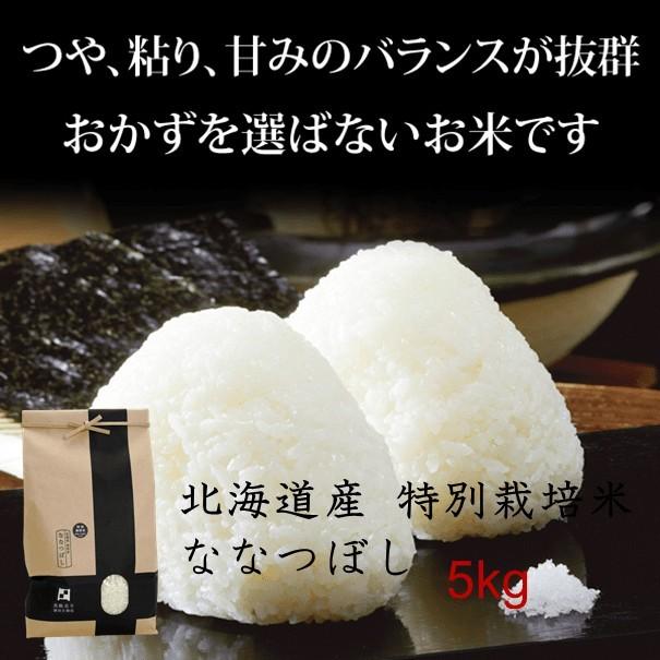 北海道産米 令和6年産 新米 減農薬ななつぼし白米20㎏