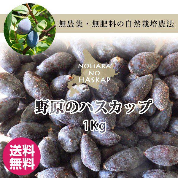完売 ハスカップ 2026年収穫 冷凍 北海道産 野原のハスカップ 1kg 40
