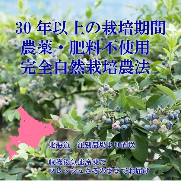 追加！ブルーベリー 2026年収穫 冷凍 北海道産 野原のブルーベリー 1kg