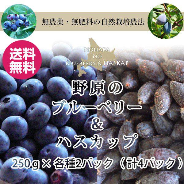 完売 2023年度 冷凍 北海道産ブルーベリー＆ハスカップ 各500ｇ 36年 無農薬・無肥料 急速冷凍 新鮮さそのまま 江別農場 産地直送 数量限定 クール便 送料無料｜hokkaido-pirika