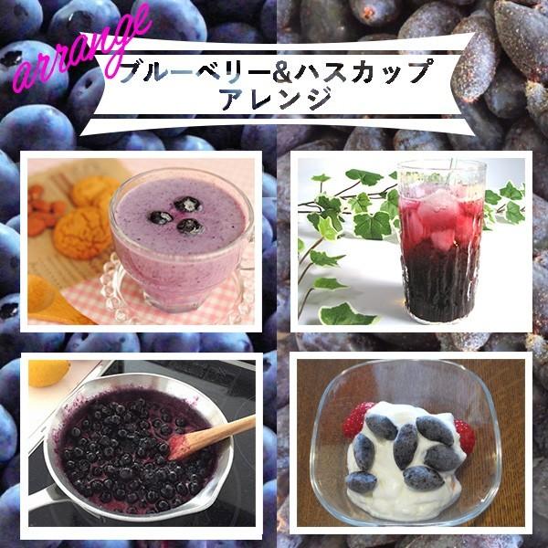 完売 ハスカップ＆ブルーベリー 2025年収穫分 冷凍 北海道産 各500g 