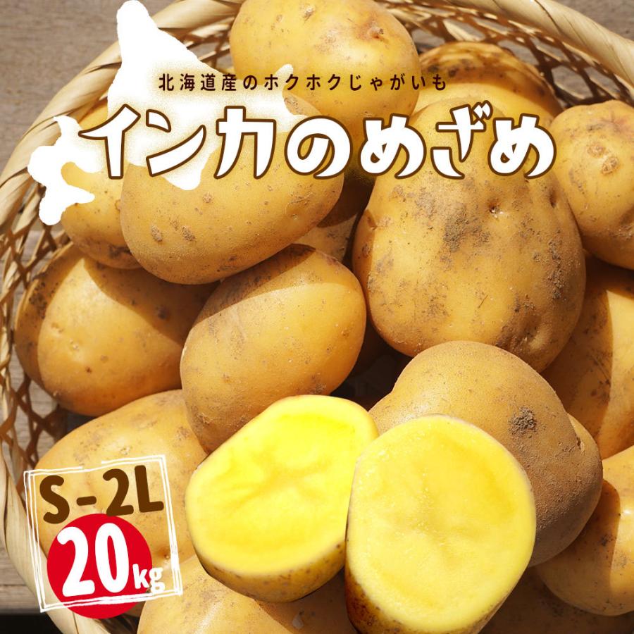 最新エルメス インカのめざめ 北海道 じゃがいも ジャガイモ 20kg - 野菜
