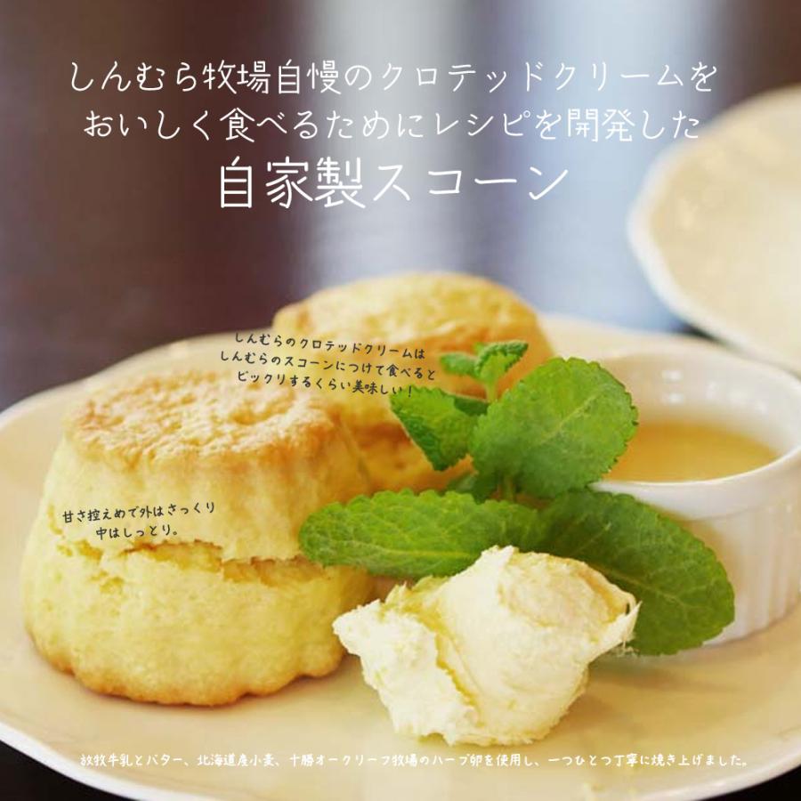 送料込 ギフト 十勝しんむら牧場 スコーンおいしさセット ミルクジャムプレーン シナモン 紅茶100g スコーン6個 箱入 プレゼント ラッピング 熨斗対応可 Sconeset 北海道新発見ファクトリー 通販 Yahoo ショッピング