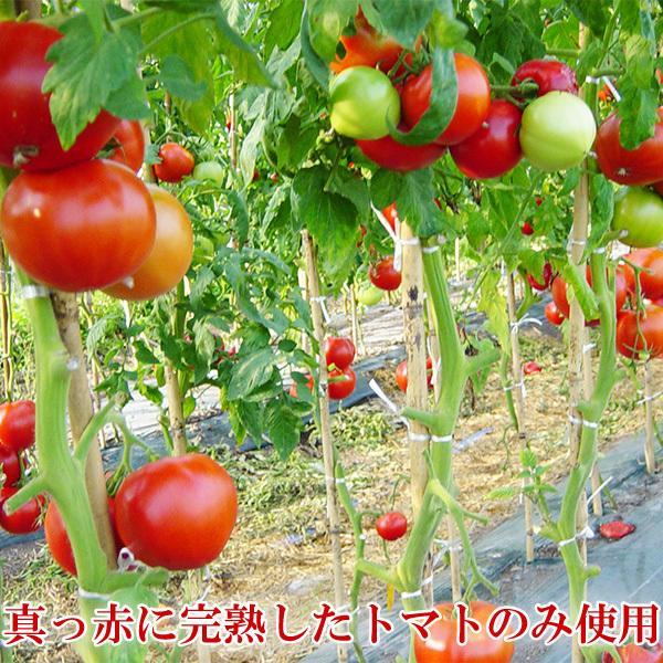 自社出荷 「2024年産 オオカミの桃(食塩無添加1L×6本)」常温 自社出荷 「2024年産 オオカミの桃(食塩無添加1L×6本)」常温