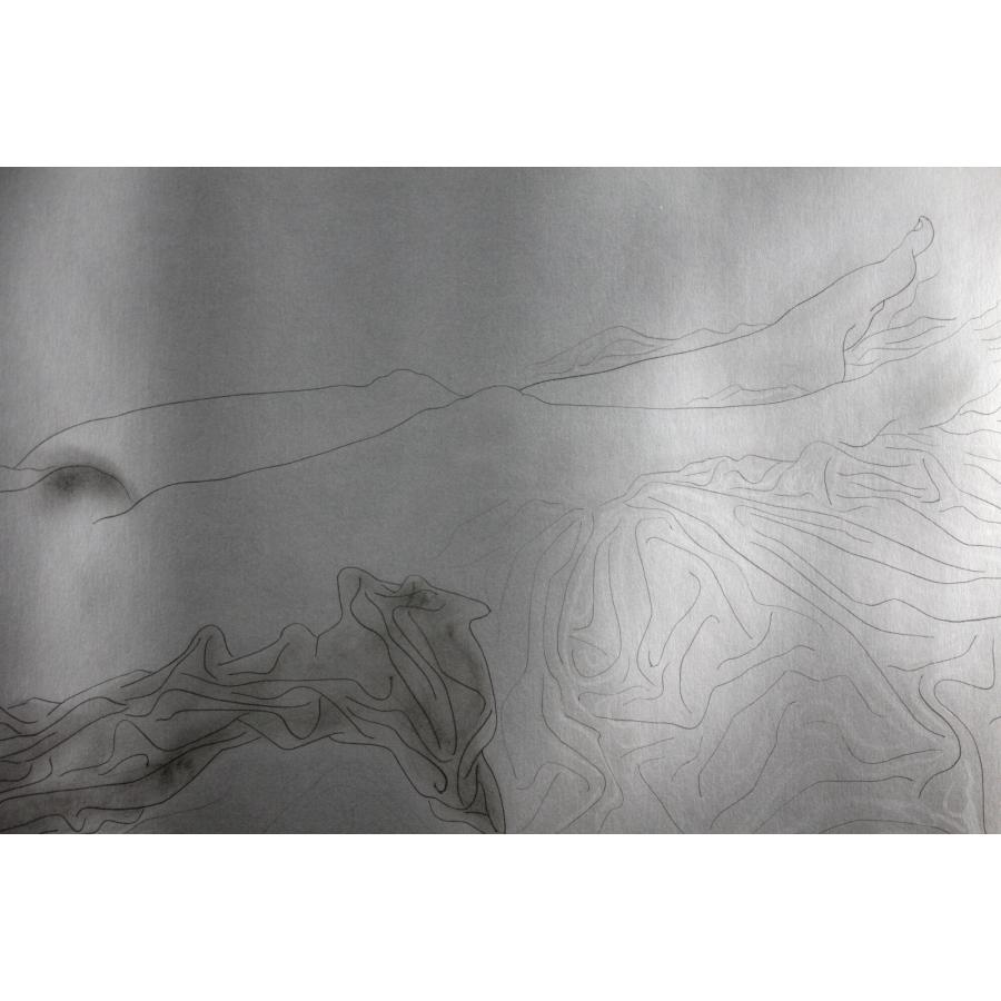 加山又造 「黒いガウンの裸婦 81-A」 リトグラフ 版画 絵画 - 北海道画廊の画像