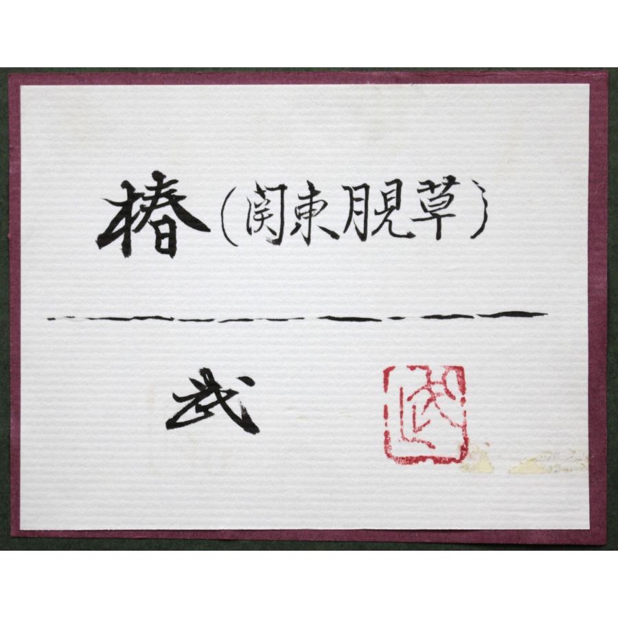 間瀬武 「椿（関東月見草）」 日本画 絵画 - 北海道画廊
