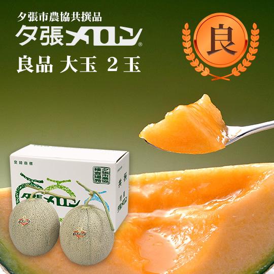 【早割り予約】夕張市農協直送 共撰品 夕張メロン良品大玉(約1.6kg) 2玉【送料無料】 北海道 お中元 贈答品 引出物 赤肉メロン お供え物 お盆 名物