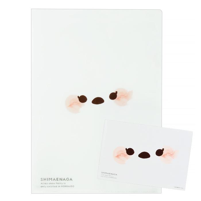 ポストカード付 しまちゃんクリアファイル Face A4 北海道 お土産