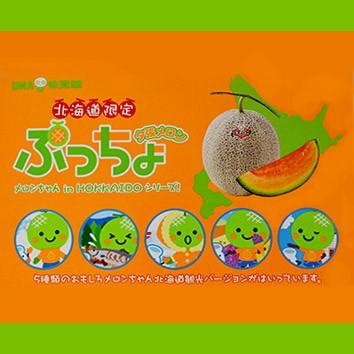 北海道限定 ぷっちょ 夕張メロン 北海道 お土産 おみやげ お菓子