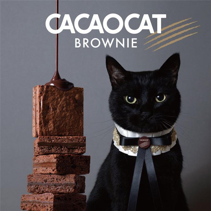 北海道本裏毛の908ぶった切りベスト（インディゴ 濃） CACAOCAT（カカオキャット） 切れ端 BROWNIE オレンジ 北海道 DADACA