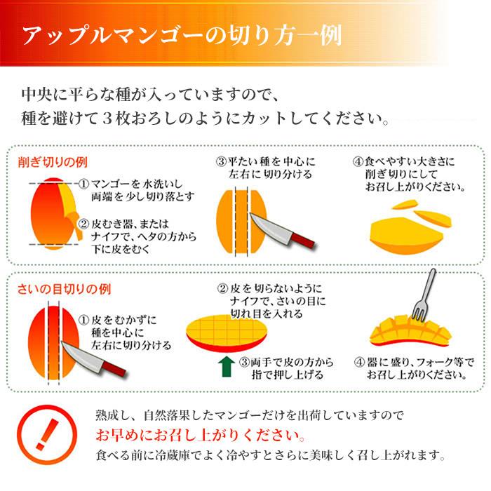 北海道産 神内マンゴー 3Lサイズ 秀品 2玉【アップルマンゴー アーウィン種】【送料無料】【着日指定可】神内ファーム 完熟マンゴー 贈答用｜hokkaidogb｜06