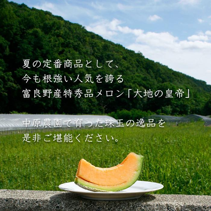送料無料】富良野メロン大地の皇帝 特秀品 中玉約1.6kg×2玉 北海道 お