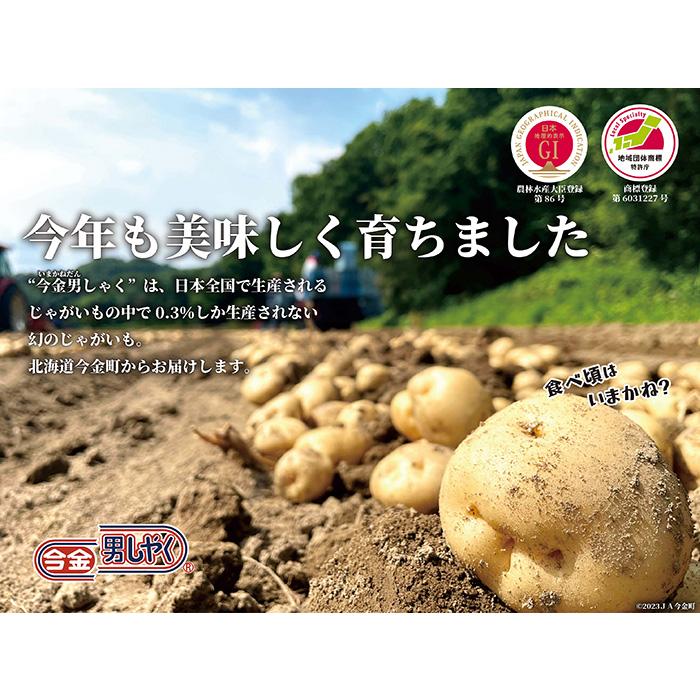 送料無料】今金男しゃくたっぷり10kgセット 幻のじゃがいも 今金町