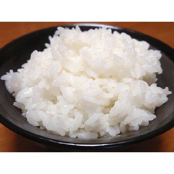 きらら三九七 北海道産 きらら397 白米10kg （令和6年産） : 北海道の