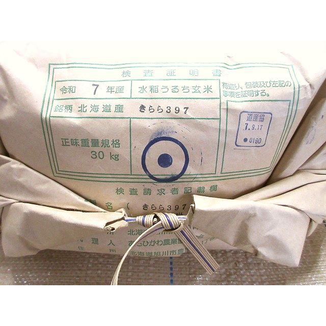 きらら三九七 北海道産 きらら397 一等米 玄米10kg （令和7年産 