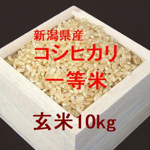 食品 令和7年産 新潟コシヒカリ 1等米 玄米10kg